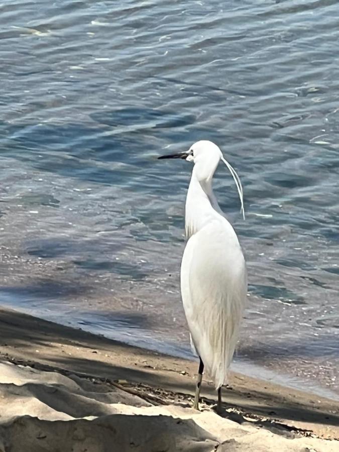 Kallithea Nea Iraklitsa Εξωτερικό φωτογραφία